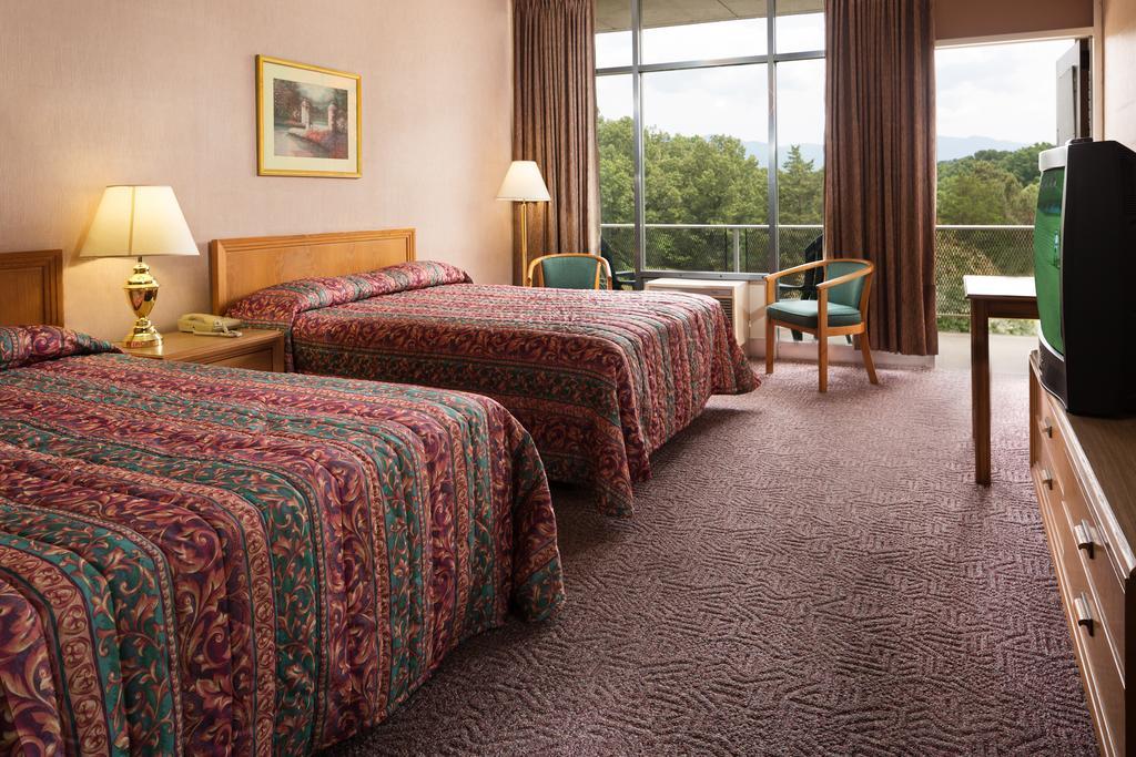 Luray Caverns Motels 部屋 写真